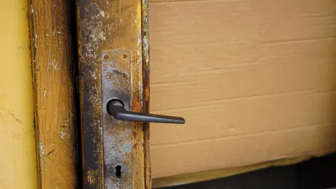 Close-up of a wooden door handle and latch plate, fixing a door that won't close