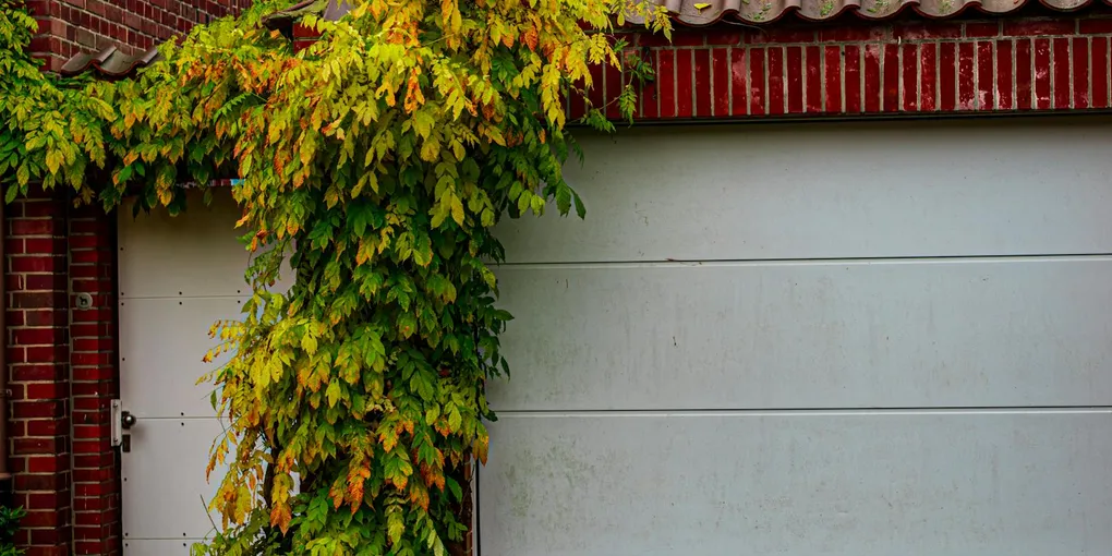 Closed garage door from inside with daylight gap along side frame, how to seal gaps