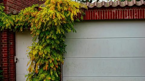Closed garage door from inside with daylight gap along side frame, how to seal gaps