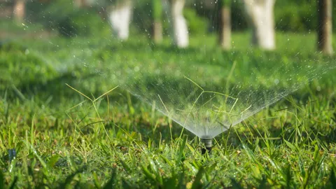 Pop-up sprinkler head spraying water across a green lawn, sprinkler head repair