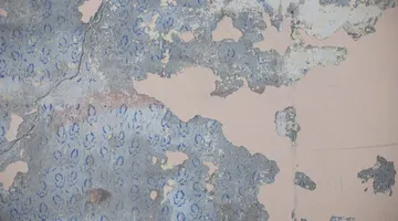 Partially stripped wallpaper hanging off a wall, removing wallpaper without damaging the drywall behind